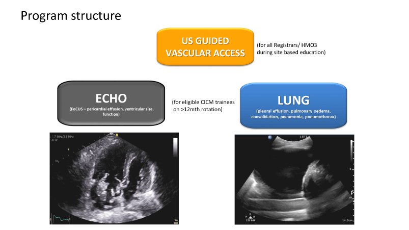 ICU program structure 2022